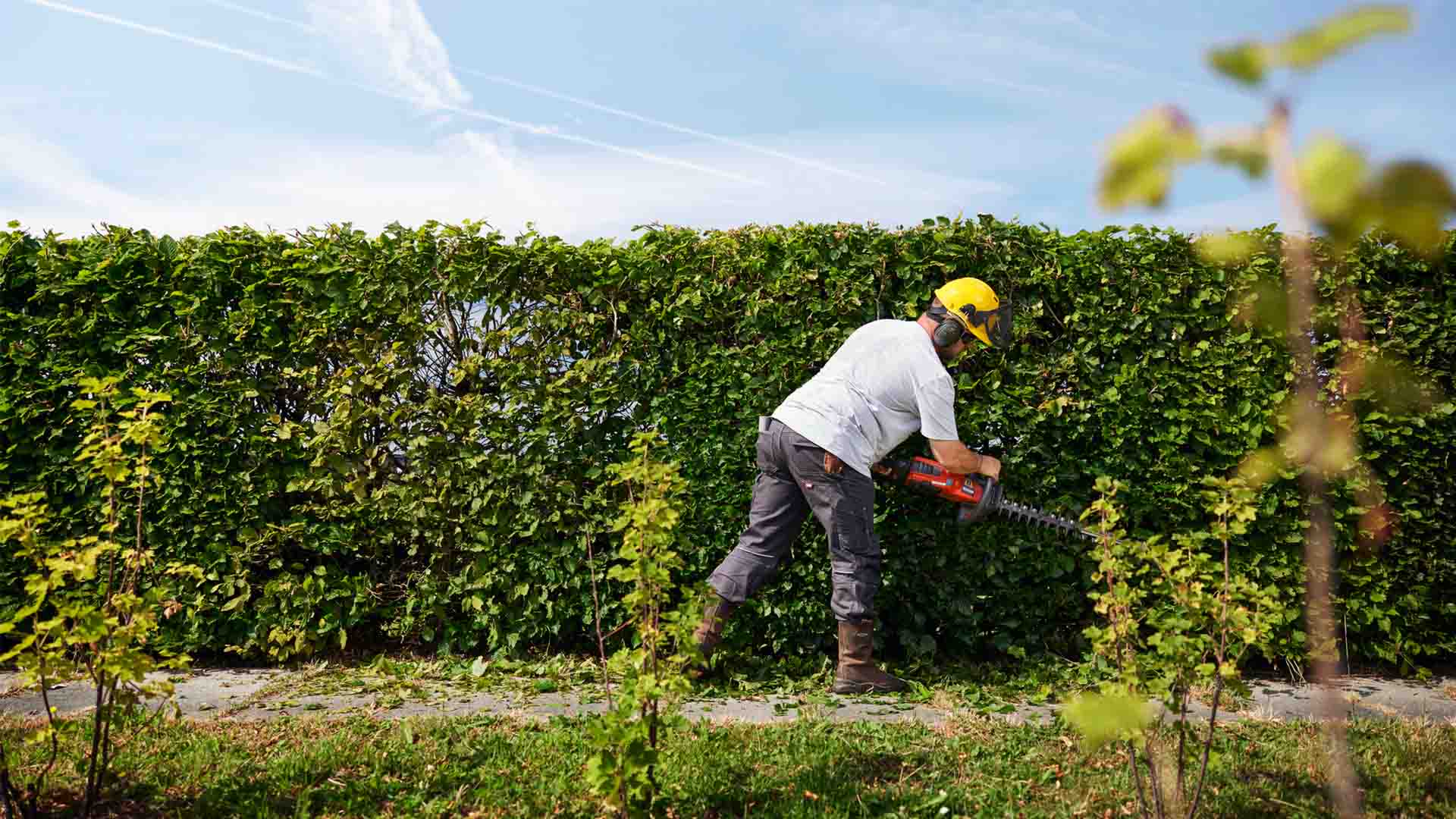 Grünpflege Hecke