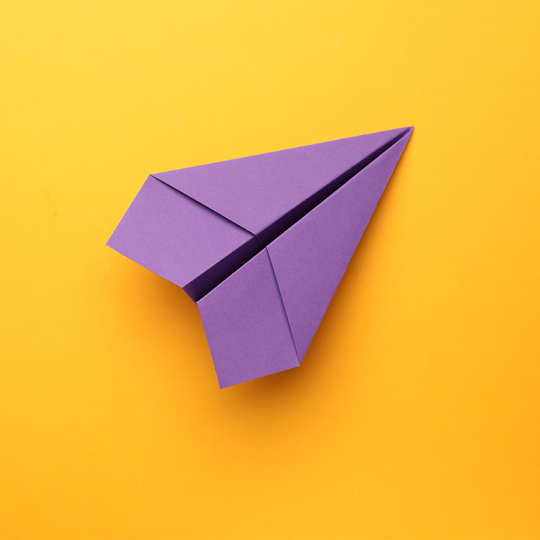 Newsletter Papirfly
